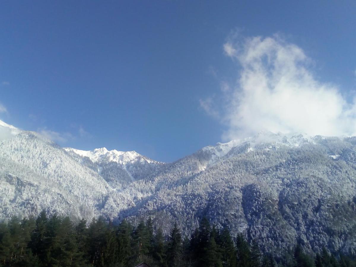 Landhaus Tirol Ξενοδοχείο Presseggersee Εξωτερικό φωτογραφία