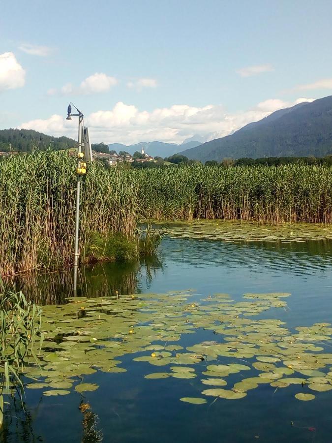 Landhaus Tirol Ξενοδοχείο Presseggersee Εξωτερικό φωτογραφία